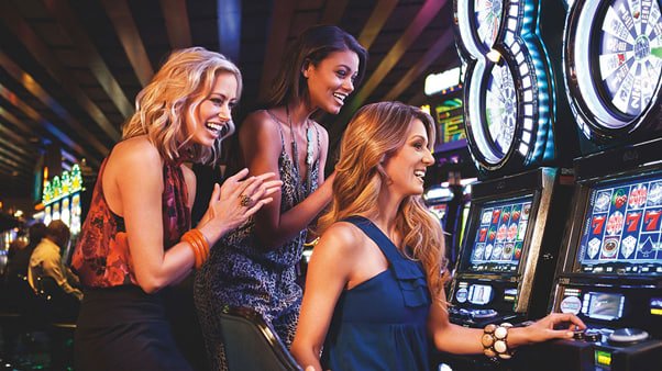 suzuki slot unified platform dashboard showing sportsbook, live dealer, and slots